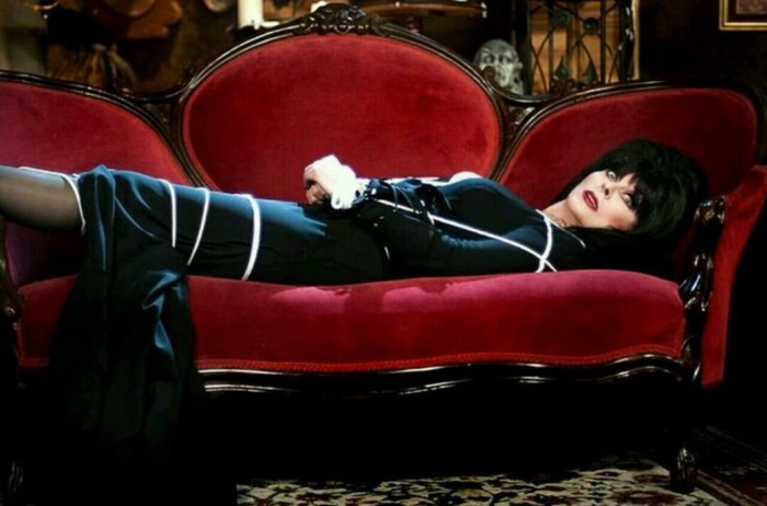 Elvira Queen of Darkness