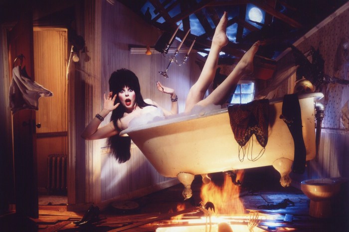 Elvira Lord of Darkness 1988
