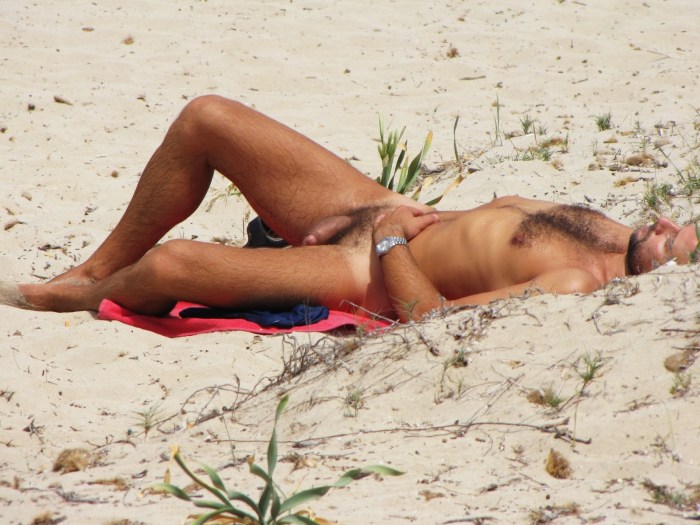 Naked men on a nudic beach