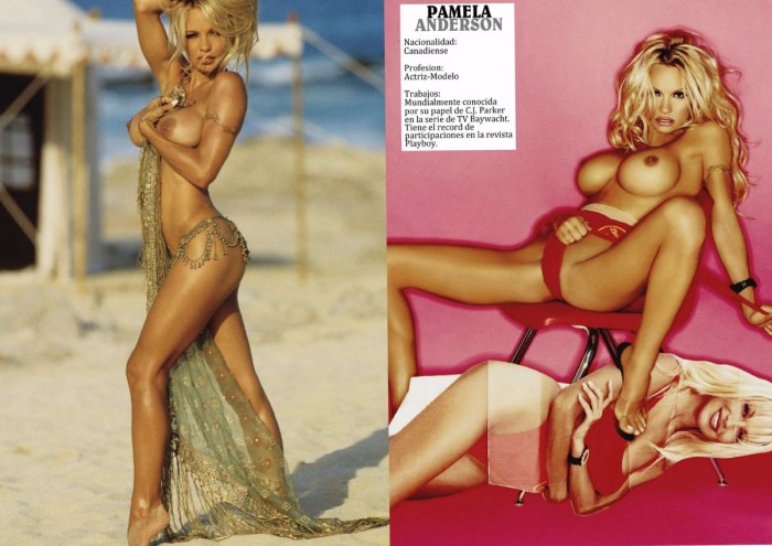 Tits Pamela Anderson