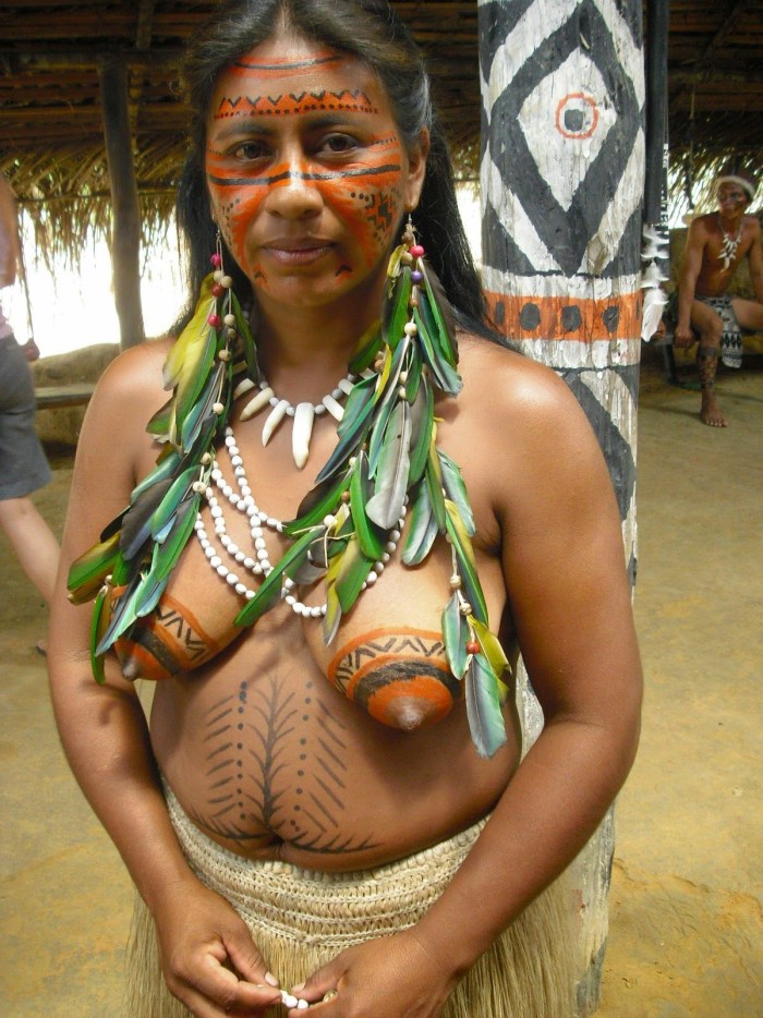 The wild tribes of the Amazon are non -contact