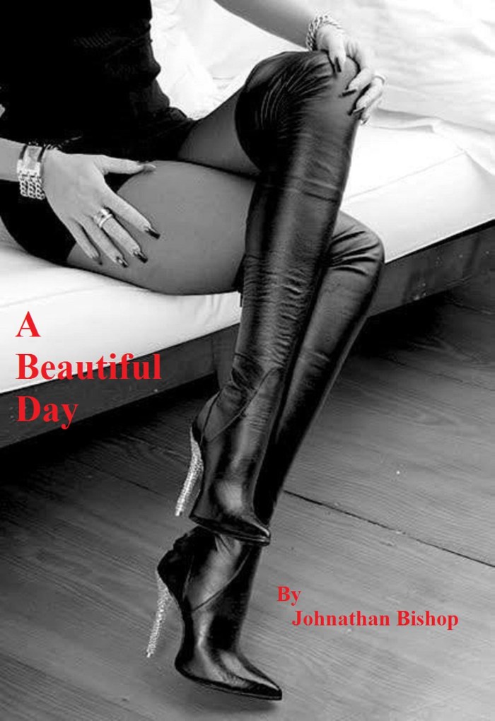 Women's legs in boots