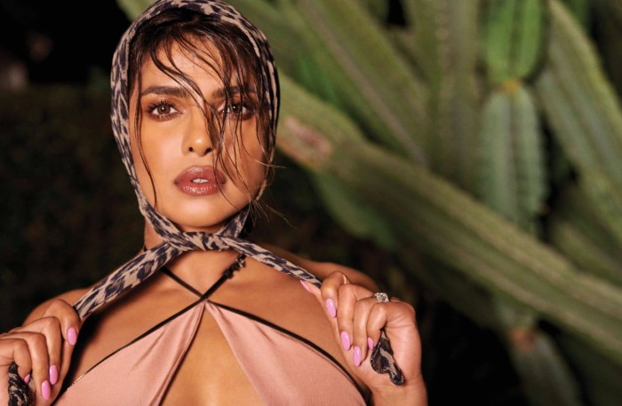 Priyanka Nude Fucking Photo