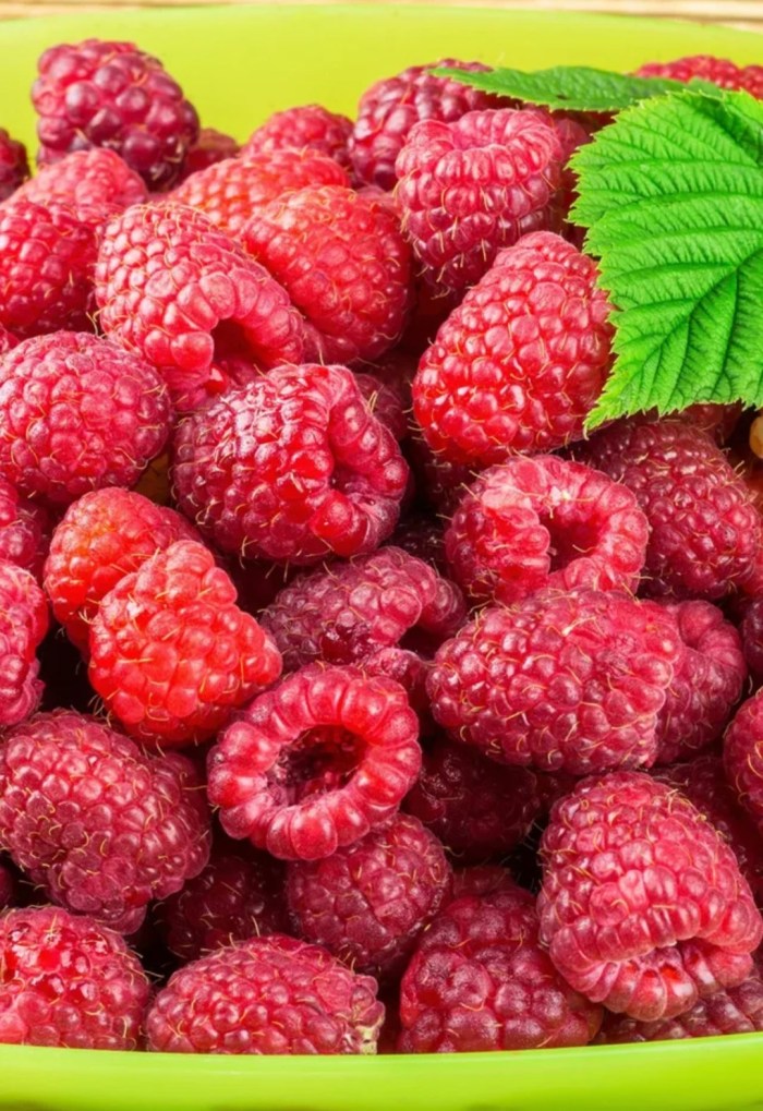 Raspberry in a cup