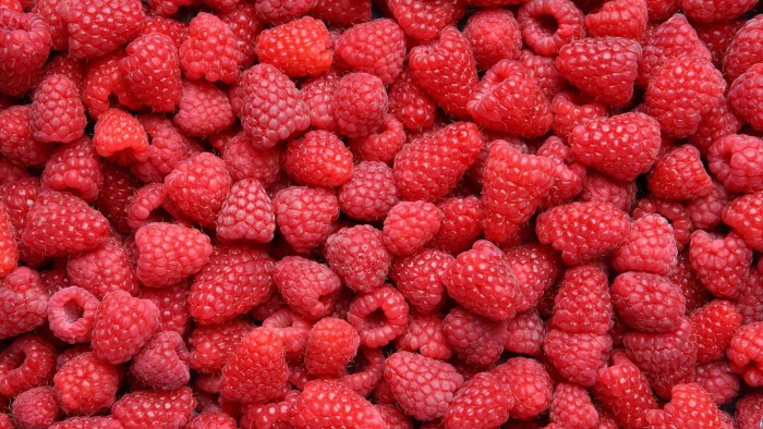 Raspberry Griss