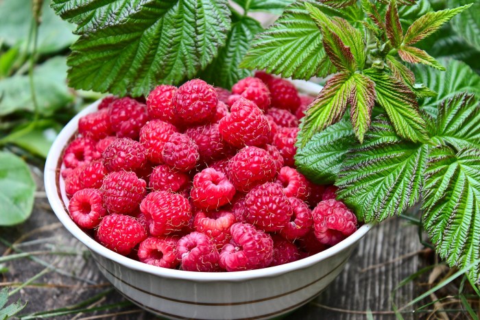 Raspberry in boxes