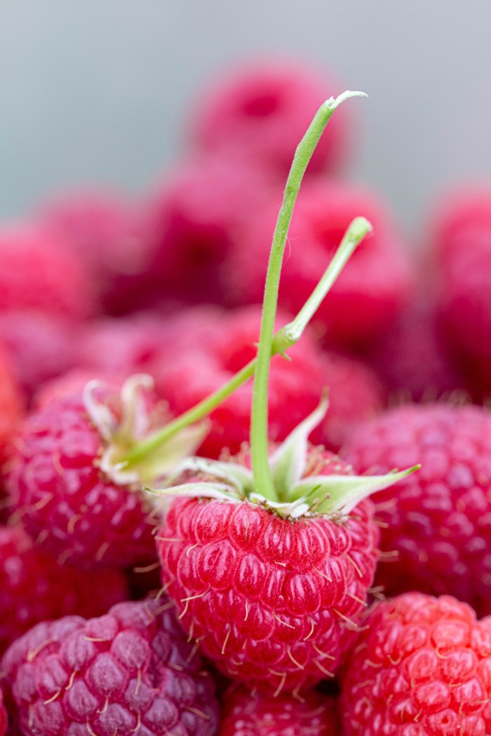 Raspberries