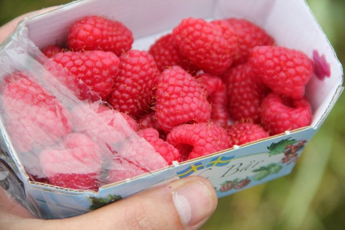 Raspberry jam