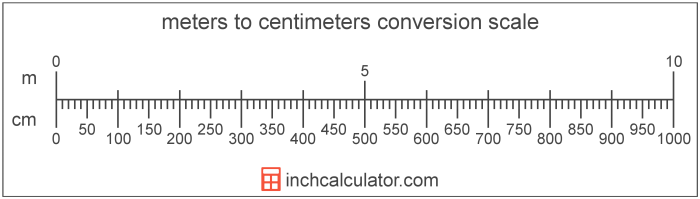 The scale of the ruler