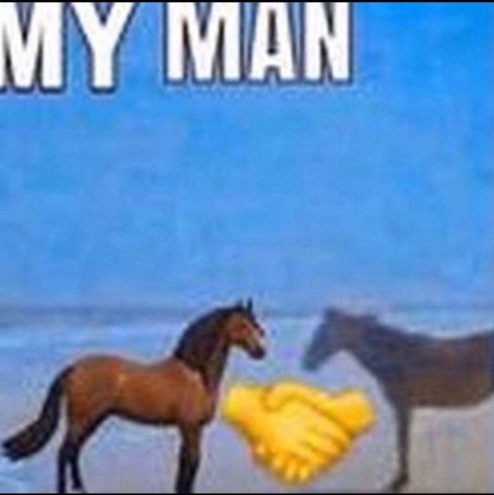 Because a meme with a horse