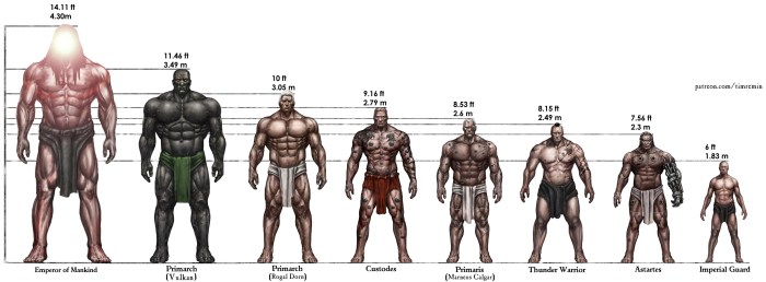 Varhammer 40,000 growth of primarchs
