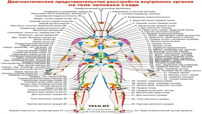 Ogulov projection zones