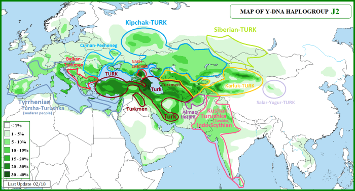 Turkic Kaganate