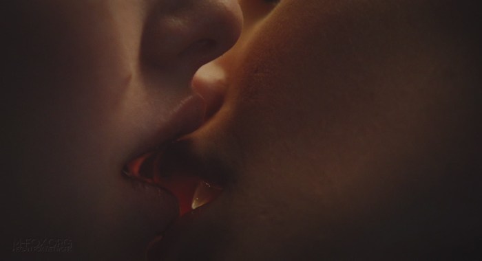 Amanda Seyfrid Lovelyis naked