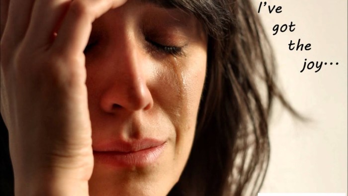 The girl cries the meme