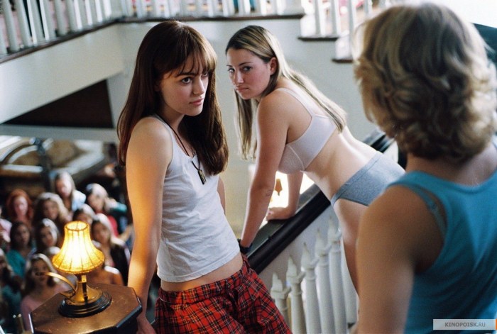 Domino 2005 Film