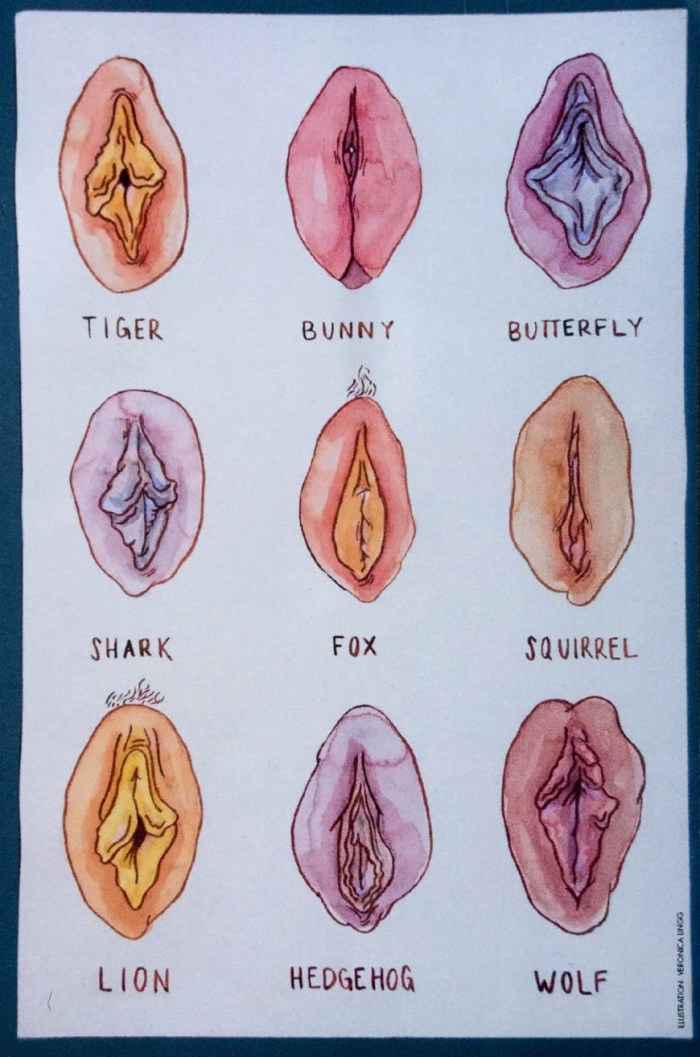 Women's vagina name