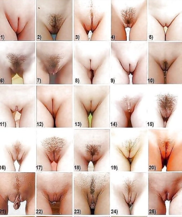 Types of pussies