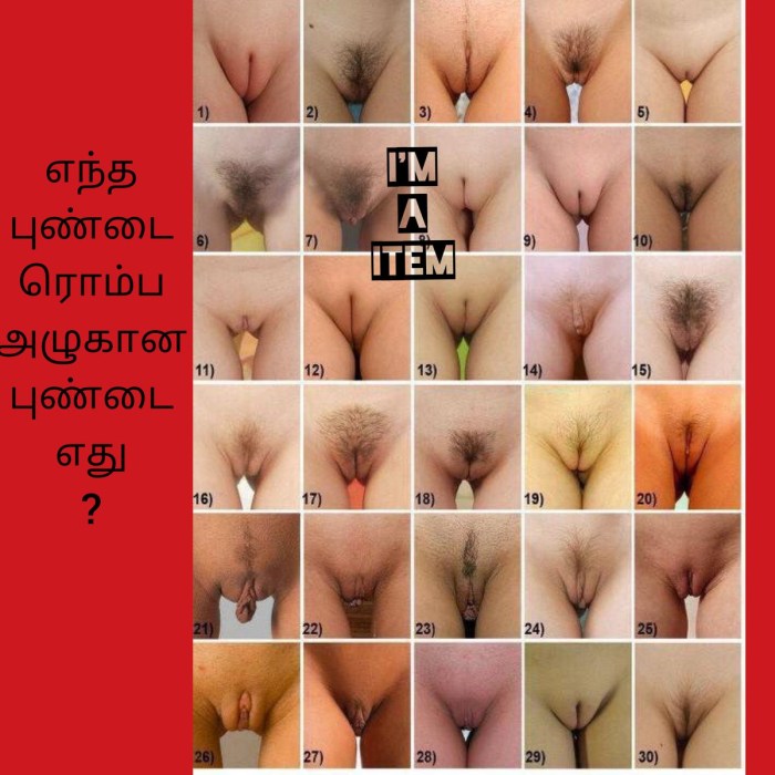Forms of female genitals