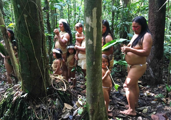 In the life of the jungle naked forest