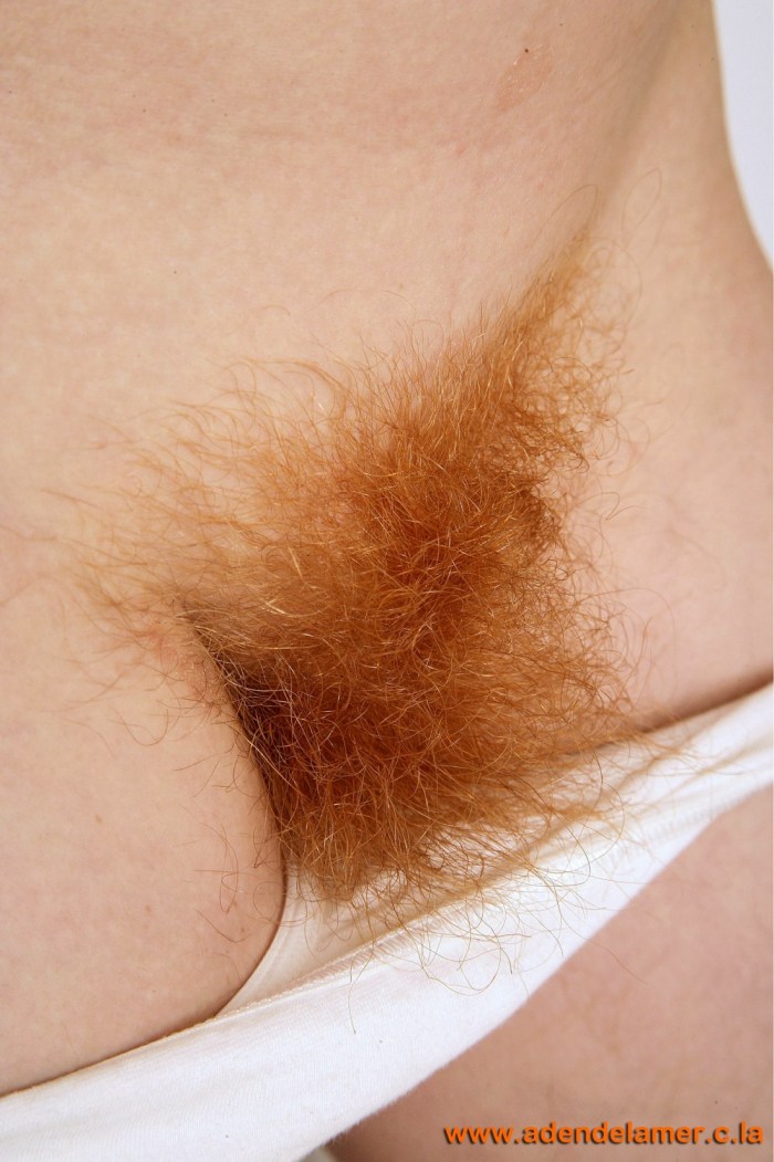 Blond hair on female pubis