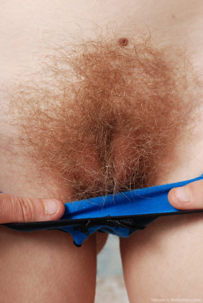 Hairy vagina with red hair