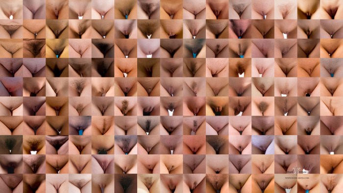 Forms of female genitals