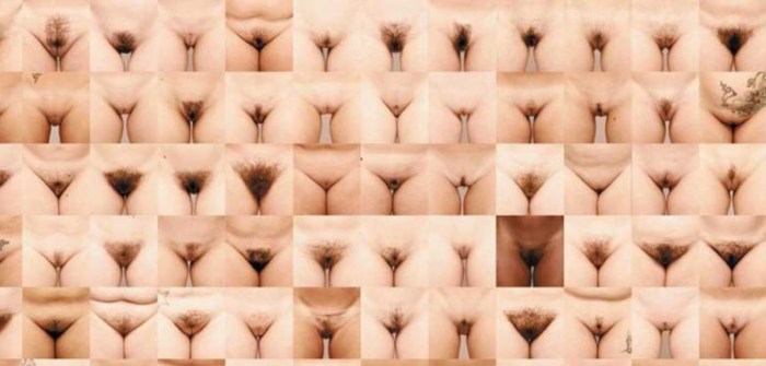 The location of the vagina