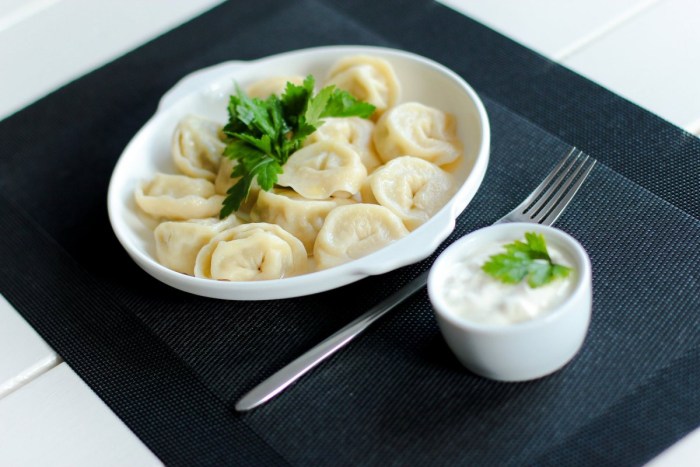 Dumplings manti vector