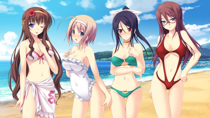Anime Echchi Garem