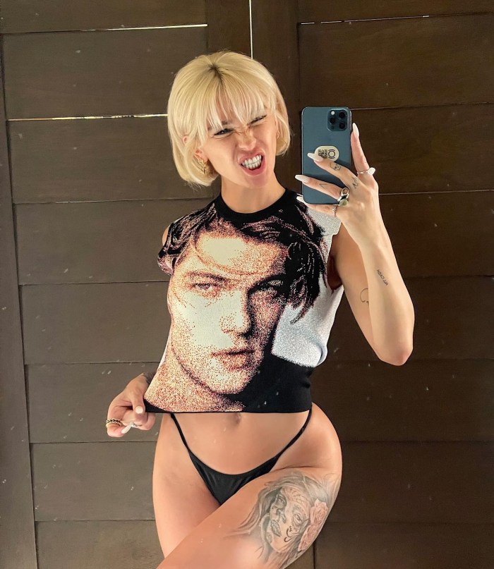 Ivleva plums