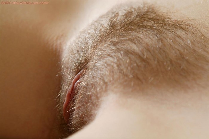 Feminine pubis close -up