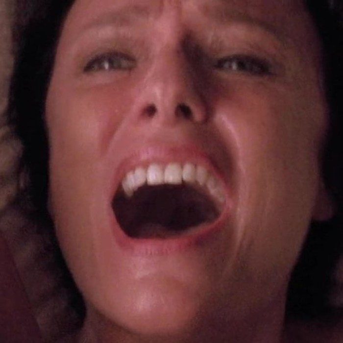 Jacqueline Lorians Pornstar