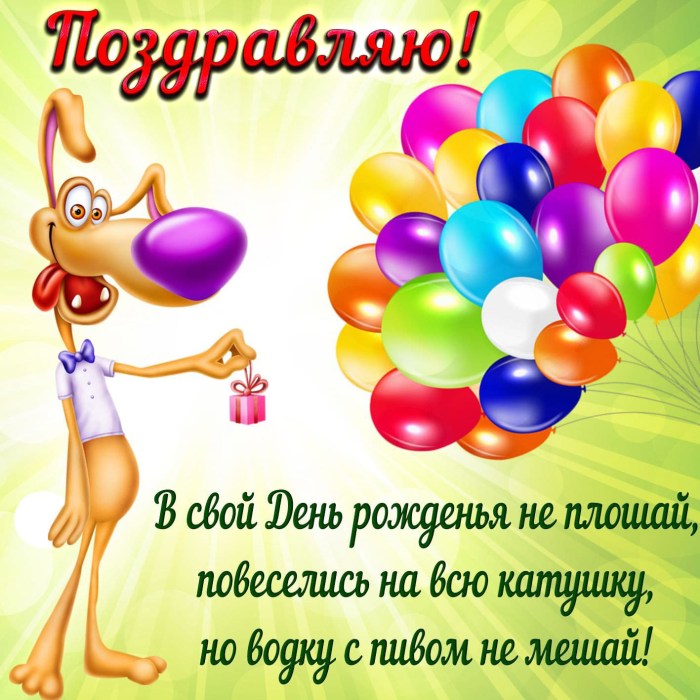 Funny congratulations on the day