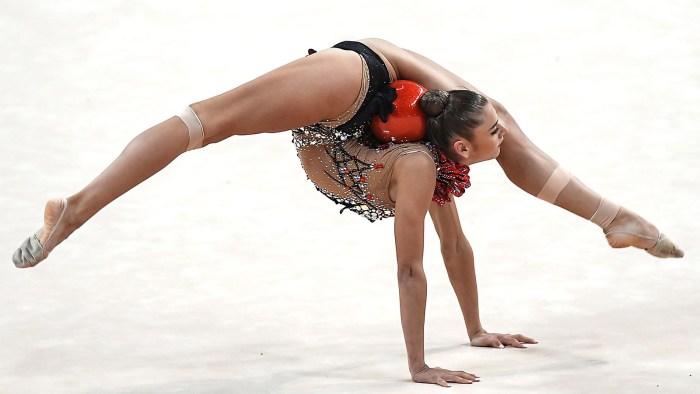Anastasia Panina Gymnast