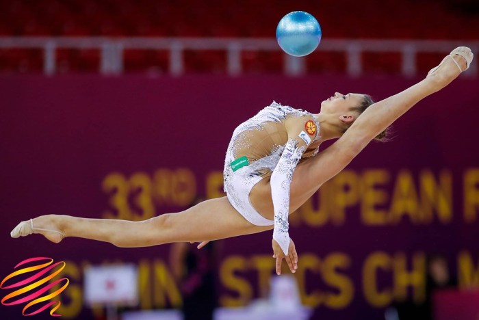 Gymnast in the jump