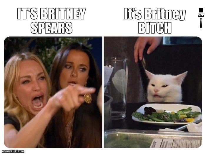 Meme with a cat at the table
