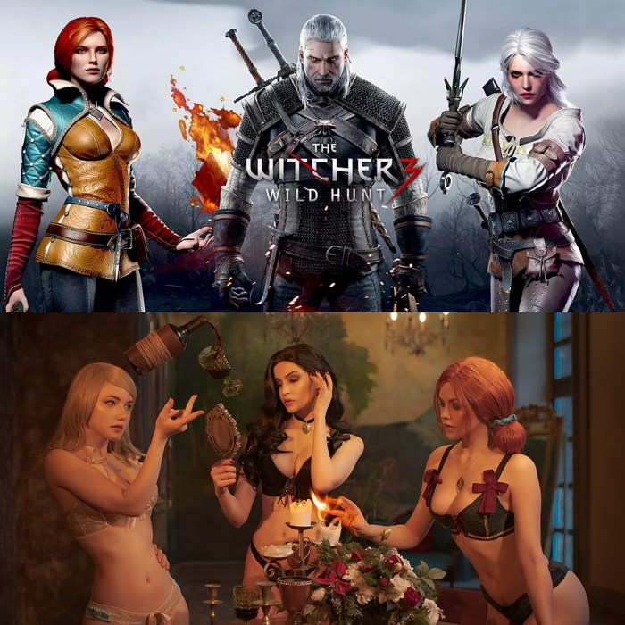 Witcher and Triss jokes