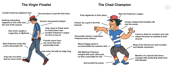 Summary of the developer