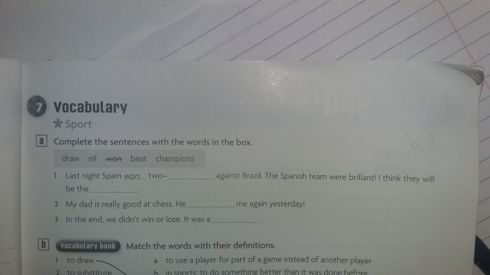 English Write Sentences task?