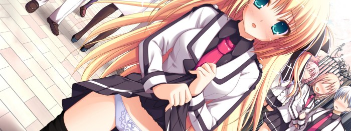 Anime girls with big breasts in swimsuits