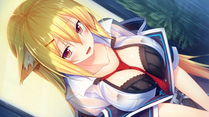 Anime of the blonde Ecchi