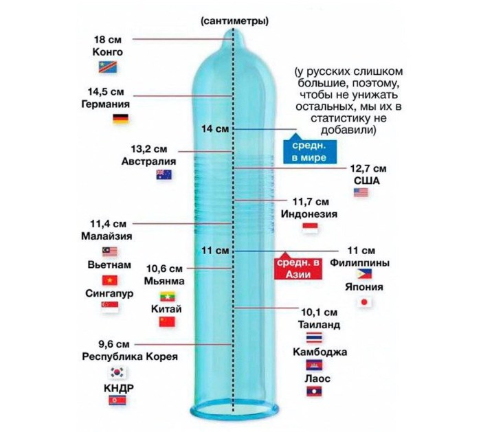 The thickness of the member table