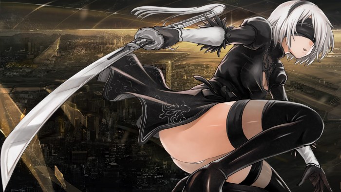 Nier Automata anime