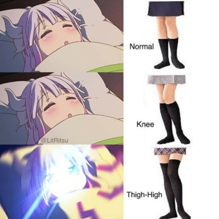 Anime memes about stockings