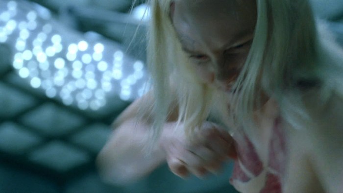 Ingrid Bolsai Berdal Westworld