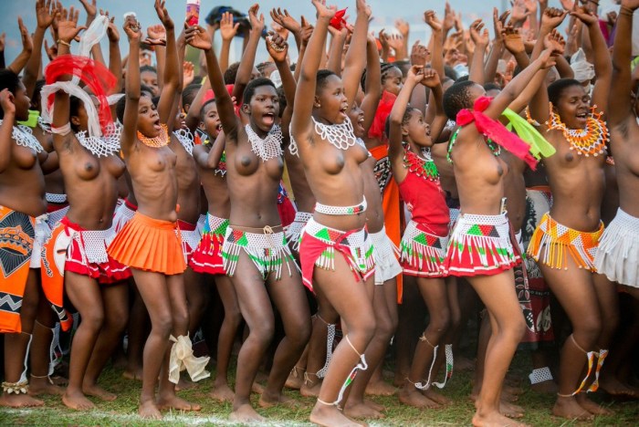 Brazilian coprofilles