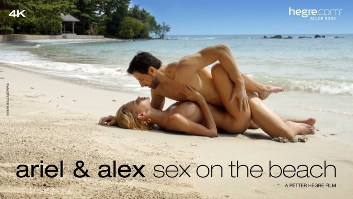 Ariel Hegra Art XXX Beach