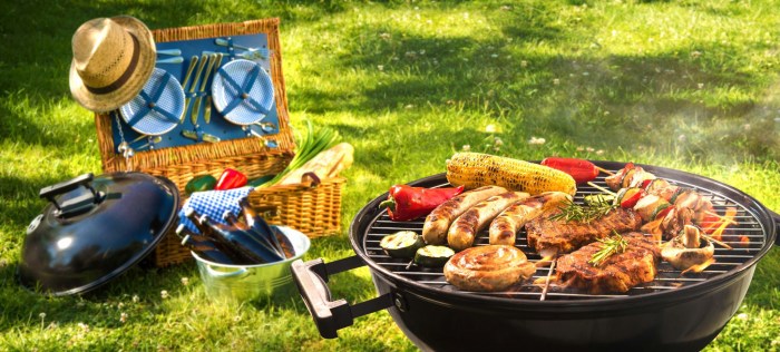 Ashley_fires__anya_olsen _-_family_picnic_-Part 1