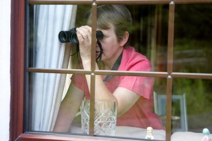 Sprinking in the windows